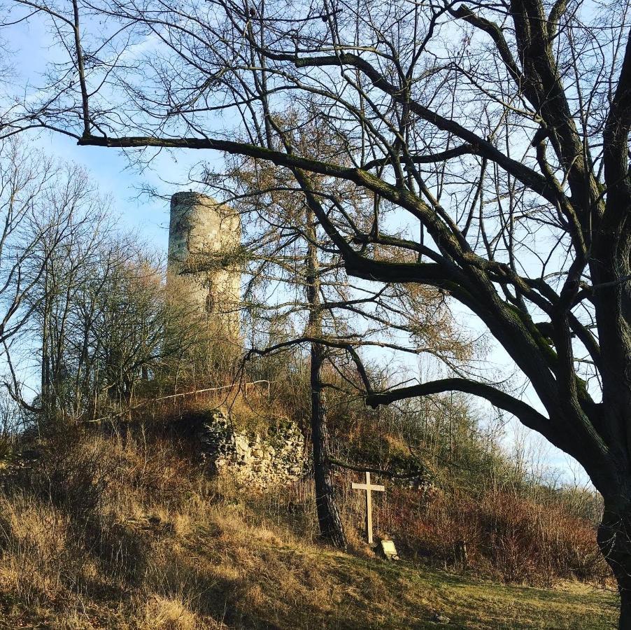Ferienwohnungen Lausbuben & Zicken - Im Gruenen Herzen Deutschlands Herleshausen Экстерьер фото