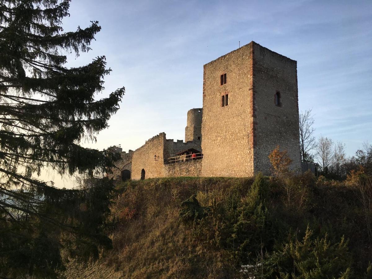 Ferienwohnungen Lausbuben & Zicken - Im Gruenen Herzen Deutschlands Herleshausen Экстерьер фото